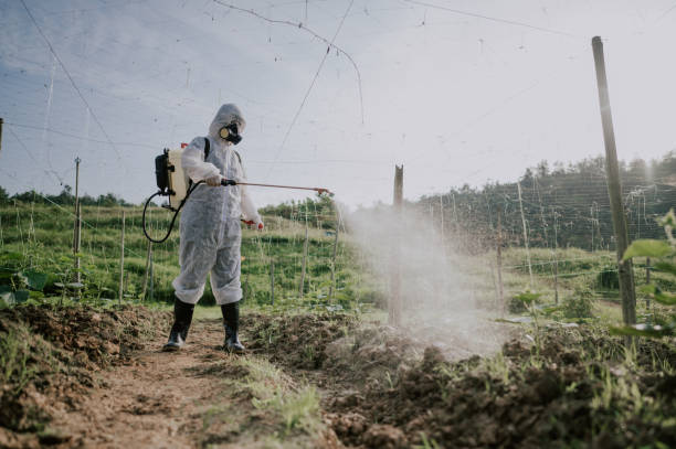 Best Pest Prevention Services  in North Bend, NE