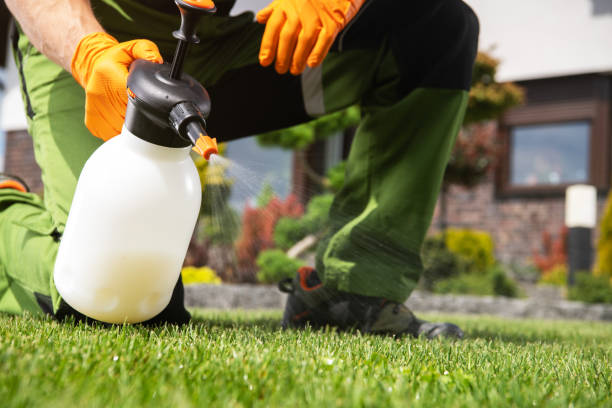 Best Mosquito Control Services  in North Bend, NE