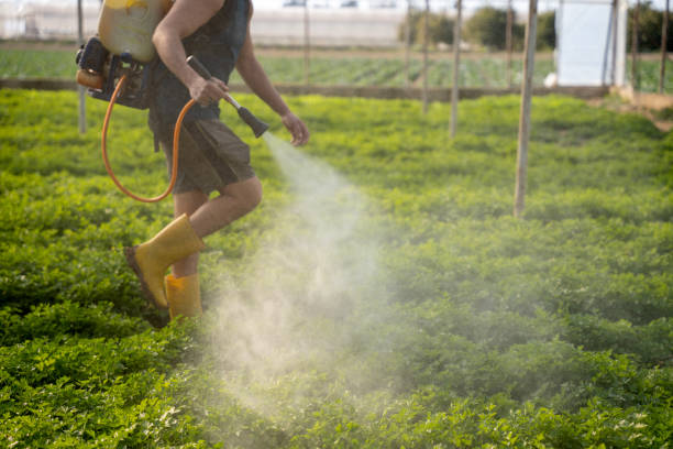 Best Pest Control Cost  in North Bend, NE