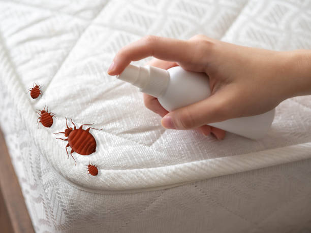 Best Commercial Pest Control Services  in North Bend, NE