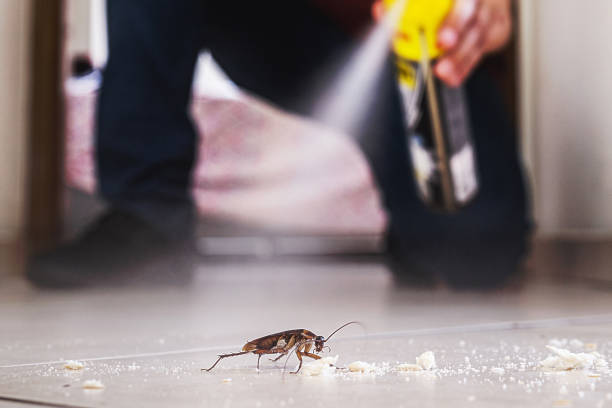 Best Pest Removal Services  in North Bend, NE