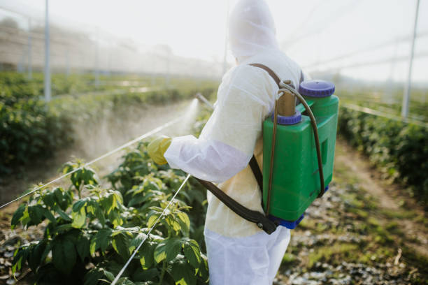 Best Best Pest Control Companies  in North Bend, NE